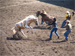 Ponoka Rodeo 2006